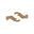 Symbolic Magic logo